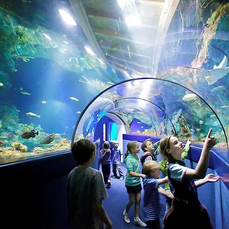 The Grand By Sunday 酒店 布里斯托